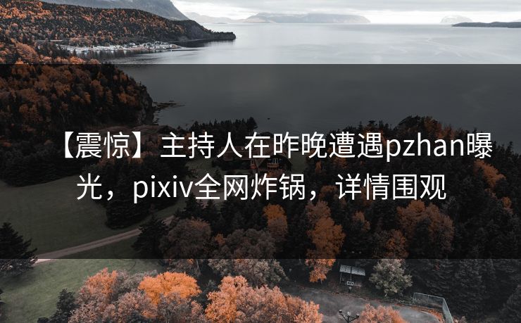 【震惊】主持人在昨晚遭遇pzhan曝光,pixiv全网炸锅,详情围观