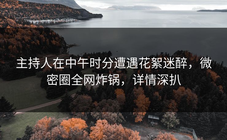 主持人在中午时分遭遇花絮迷醉,微密圈全网炸锅,详情深扒