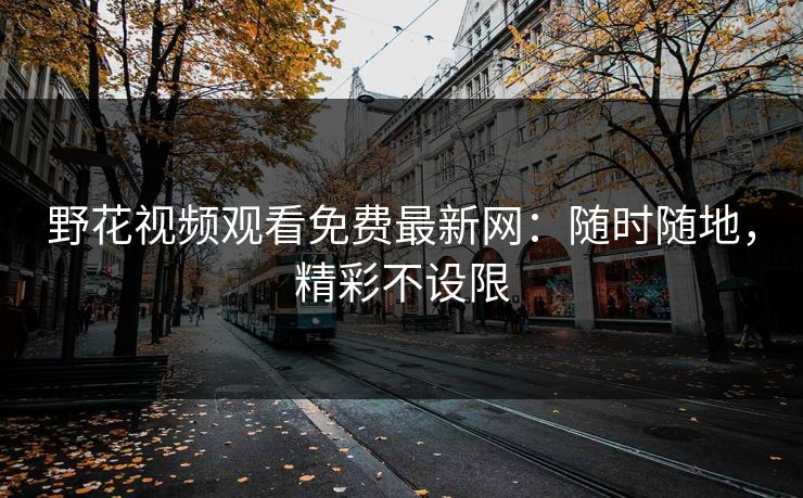 野花视频观看免费最新网:随时随地,精彩不设限