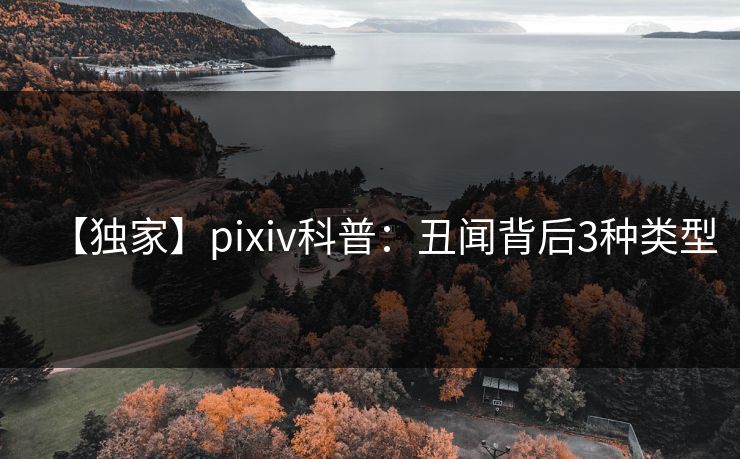 【独家】pixiv科普:丑闻背后3种类型 【独家】pixiv科普:丑闻背后3种类型