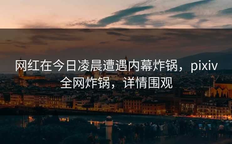 网红在今日凌晨遭遇内幕炸锅,pixiv全网炸锅,详情围观
