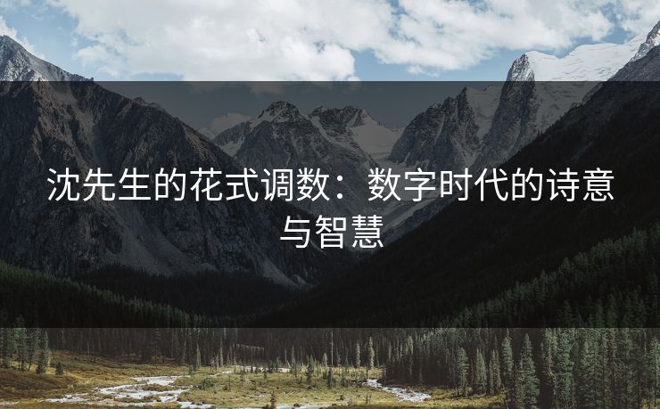 沈先生的花式调数:数字时代的诗意与智慧